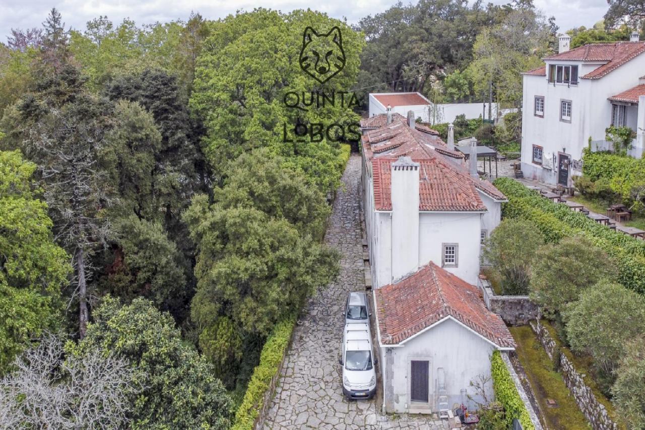 Quinta Dos Lobos Boutique Hotel - Nature Experience Sintra Buitenkant foto
