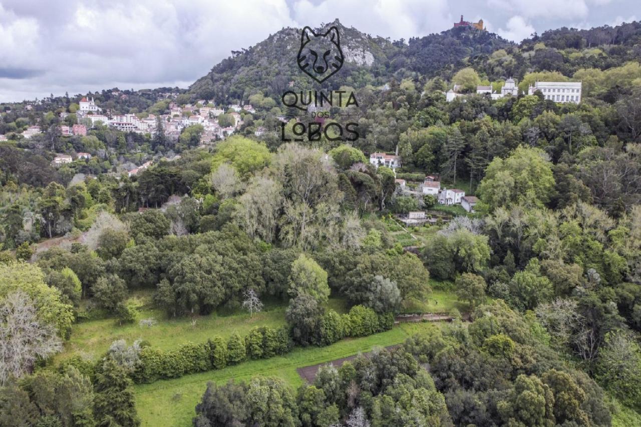 Quinta Dos Lobos Boutique Hotel - Nature Experience Sintra Buitenkant foto