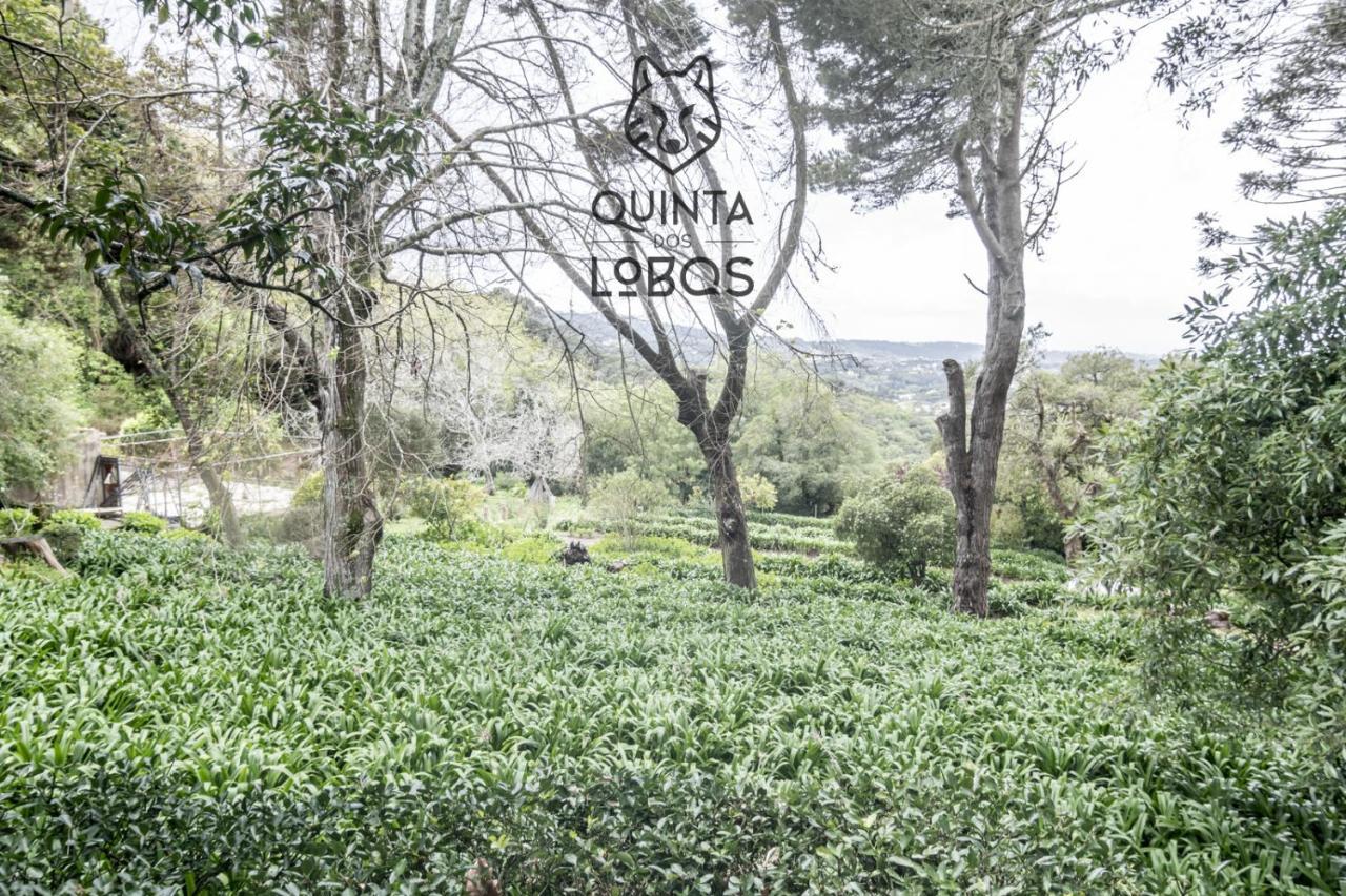 Quinta Dos Lobos Boutique Hotel - Nature Experience Sintra Buitenkant foto